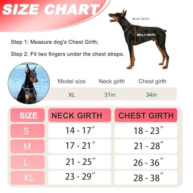 Neck Padded Dog Vest Harness and Leash Set, No Pull Adjustable Service Pet Harness with 8 Dog Patches, Reflective in Training Easy Control Pet Vest with 5ft Dog Leash for Medium & Large Dogs - Image 2