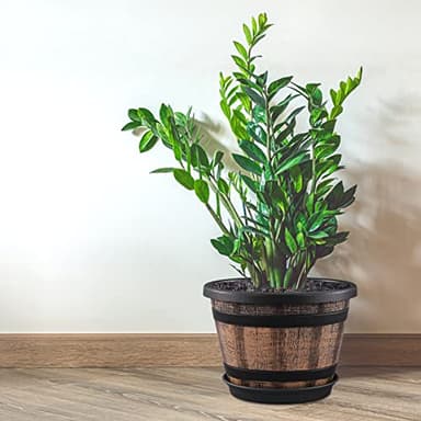 Quarut 3 Pack 10 inch Plant Pots,Whiskey Barrel Planters with Drainage Holes & Saucer, Plastic Decoration Flower Pots Imitation Wine Barrel Design, for Indoor & Outdoor Garden Home Plants (Brown) - Image 6