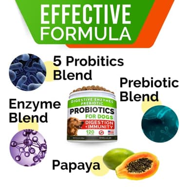 StrellaLab Dog Probiotics Treats for Picky Eaters - Digestive Enzymes + Prebiotics - Chewable Fiber Supplement - Allergy, Diarrhea, Gas, Constipation, Upset Stomach Relief - Improve Digestion&Immunity - Image 3