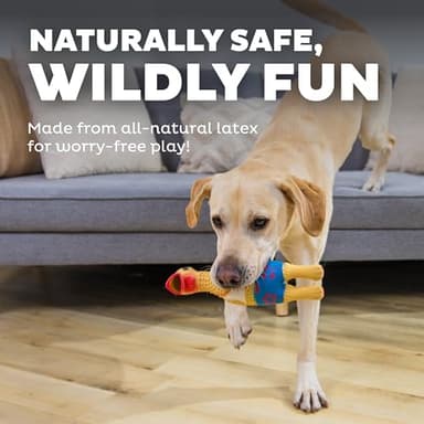 Outward Hound by Charming Pet Squawkers Earl Latex Squeaky Rubber Chicken Dog Toy, Funny Interactive Holiday Toy for Dogs, Large Size - Image 4