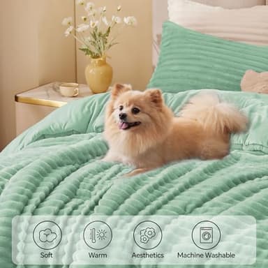 BEDELITE Fleece Queen Comforter Set -Super Soft & Warm Fluffy Light Green Bedding, Luxury Fuzzy Heavy Bed Set for Winter with 2 Pillow Cases - Image 3