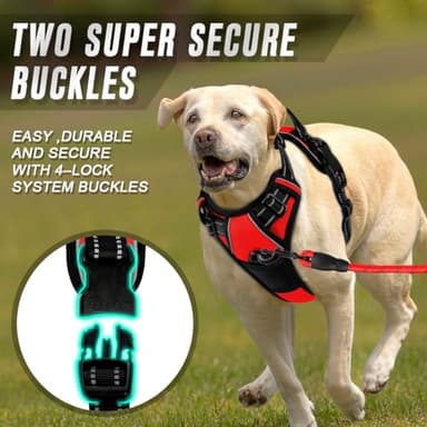 BARKBAY No Pull Dog Harness Front Clip Heavy Duty Reflective Easy Control Handle for Large Dog Walking(Red,L) - Image 4
