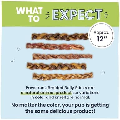 Pawstruck Natural 12" Braided Bully Sticks for Dogs – Tough, Long-Lasting, Rawhide-Free, Low-Odor, Single Ingredient Chew Treat for Aggressive Chewers – 5 Count – Packaging May Vary - Image 6