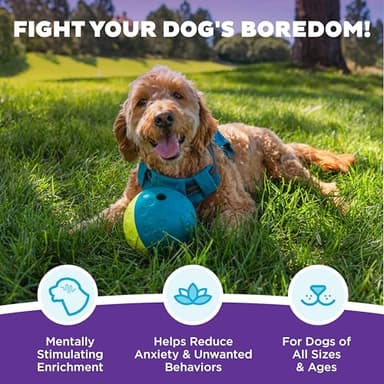 Outward Hound by Nina Ottosson Treat Tumble Interactive Puzzle Ball Dog Toy, Level 1 Beginner, Blue, Small (4.75" Diameter) - Image 3