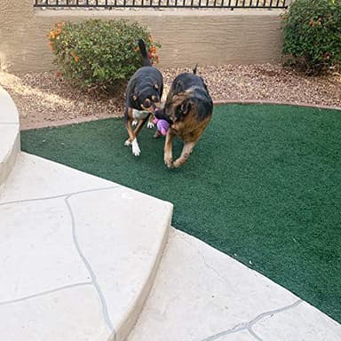 Jalousie Plush Toys Assortment Value Bundle Puppy Pet Mutt Squeak Toy for Medium Large Dogs (5 Pack Corduroy) - Image 7