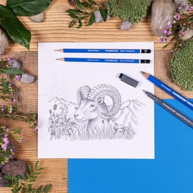 STAEDTLER Mars Lumograph Graphite Artist Pencil Pack, 12 Degrees (8B, 7B, 6B, 5B, 4B, 3B, 2B, B, HB, F, H, 2H), Mars Plastic Eraser, 61 100 P - Image 2