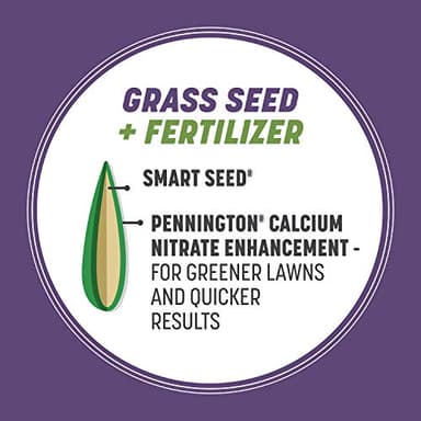 Pennington Smart Seed Dense Shade Grass Mix Bag 7 lb - Image 4