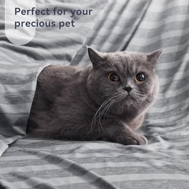 Guohaoi Cooling Throw Blanket for Hot Sleepers,Arc-Chill Q-Max >0.5 Cool Fiber,100% Oeko-Tex Certified Lightweight Summer Cool Blanket for Travel/Outdoor Ultra Cold Breathable,50''x70'' - Image 6