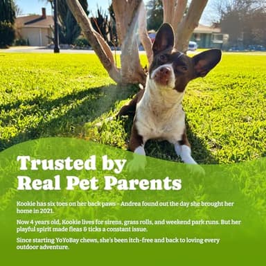 YoYoBay Flea & Tick Prevention for Dogs Chewables, Natural Dog Flea and Tick Control Treatment, Oral Flea Pills, Dogs Supplement, Natural Shield 5-in-1 Protection, Beef & Carrot Flavor, 180 Soft Chews - Image 4
