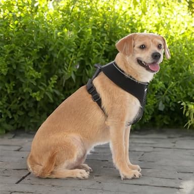 Best Pet Supplies Voyager Mesh Dog Breathable Harness Reflective Stitching, All Weather Adjustable for Walking Training, or Running - Heavy Duty & Durable, 220 Style (Black), S - Image 6