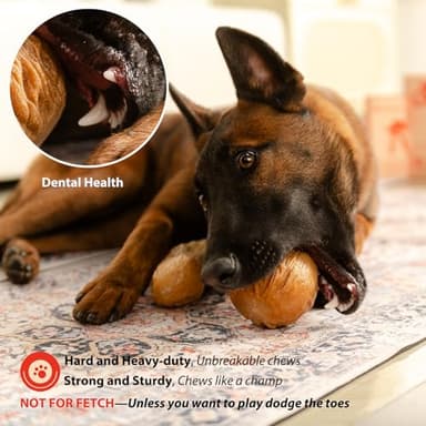 Willjoy 3-Pack Dog Toys for Aggressive Chewers, Chew Toys for Aggressive Chewers, Pine Wood & Nylon, Bacon Flavor Aggressive Chew Toys for Large Dogs, Long Lasting Dog Chews Alternative to Real Sticks - Image 4
