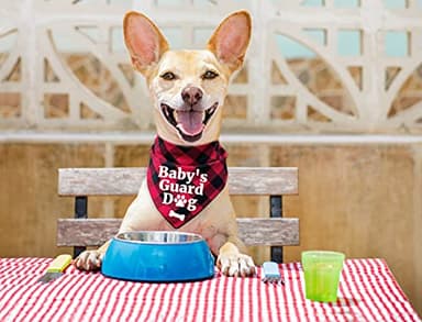 YHTWIN Funny Cute Red Plaid Cotton Triangle Pet Dog Bandanas, Baby's Guard Security Dog Scarf Accessories Props Decorations, Dog Birthday Party Photograph Props for Pet Lovers Owner Gift - Image 2