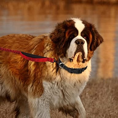 PuppyDoggy Adjustable Dog Collar Black Nylon Dog Collar Martingale Collar for Dogs with Quick Release Buckle Classic Pet Collar for Small Medium Large Dogs (Large 1 Pack, Pink) - Image 2