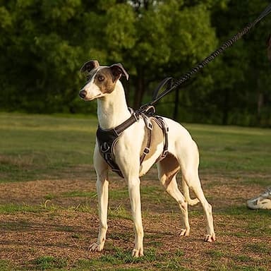 Huntboo Escape Proof Dog Harness, Escape Artist Harness, Reflective Harness with Padded Handle, Breathable, Durable, Adjustable Vest for Medium Dogs Walking, Training, and Running Gear (Black, M) - Image 6