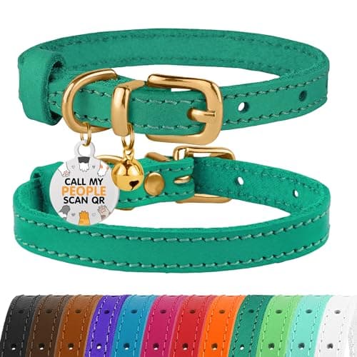 BRONZEDOG Leather Cat Collar with Removable Bells Non Breakaway Kitten QR Tag for Girl Boy (7" - 9" for Cats, Green & Gold) - Image 1