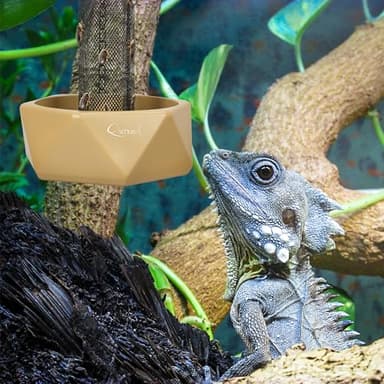 Fischuel Chameleon Feeding Bowl, Hanging Insect Feeder with a Pillar for Prey to Climb Up, Suitable for Chameleon, Bearded Dragon, Lizard, Iguana, Gecko(Khaki) - Image 5