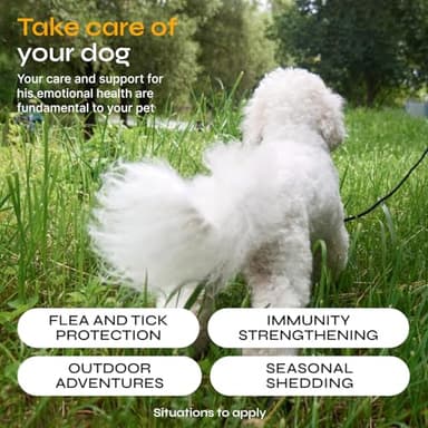 Flea and Tick Prevention for Dogs - Dog Flea Treatment Chews - Immune Support Flea and Tick Chewables for Dogs - Dog Flea & Tick Control Supplement - All Breeds & Ages - Vet Formulated - Soft Treats - Image 3