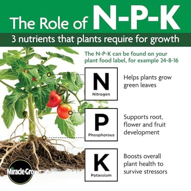 Miracle-Gro Tree and Shrub Plant Food Spikes, For Deciduous, Flowering and Evergreen Trees, Hydrangeas, and Acid-Loving Plants, 12 Spikes - Image 11