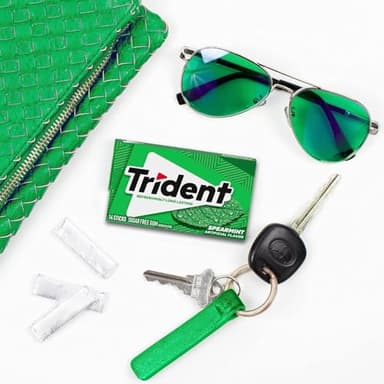 Trident Spearmint Sugar-Free Chewing Gum, 12 Packs of 14 Pieces (168 Total Pieces) - Image 12