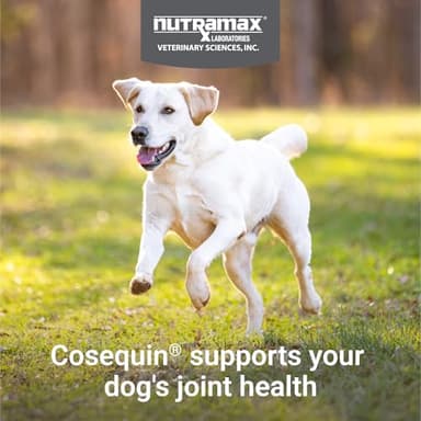 Nutramax Cosequin for Dogs Joint Health Supplement, Contains Glucosamine for Dogs, Plus Chondroitin and MSM, Supports Healthy Joints, For All Breeds and Sizes, Chewable Tablets, 132 Count - Image 3