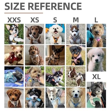 PUPTECK Adjustable Pet Harness Collar &Leash Set Step in for Small Dogs Puppy &Cats Outdoor Training &Running, Soft Mesh Padded Reflective Vest Harness,M: Chest girth: 16-18in Collar: 11.8-15.7in - Image 9