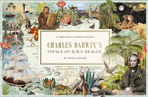 The Voyage of HMS Beagle: Charles Darwin's Journey of Discovery: a 1000-piece Jigsaw Puzzle - Image 1