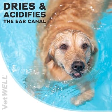 VetWELL Ear Cleaner for Dogs and Cats - Otic Rinse for Infections and Controlling Ear Infections and Odor in Pets - 8 oz (Cucumber Melon) - Image 5