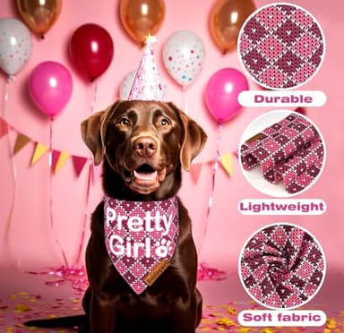 Raisingwell Birthday Bandanas 2 Pack, 4 Pattern Reversible Blue and Pink for Boy and Girl Dogs - Triangle Scarf for Medium to X-Large Breeds - Dog Birthday Gift (Large) - Image 4