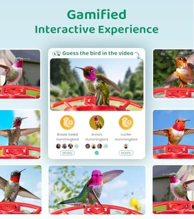 HIXX Smart Hummingbird Feeder with Camera Solar Powered, with Ant Moat & Bee Proof AI Bird Recognition, Easy Clean & Refill, with Coolfly Birdwatching APP, Ideal Gifts for Hummingbird Lover (17.5 oz) - Image 4