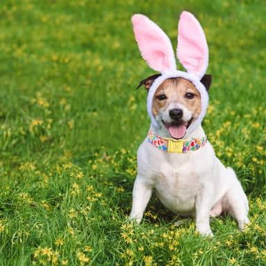 Elegant little tail Easter Dog Collar, Colorful Candy Print Pet Collars Dogs Cute Pink Boy Girl Dog Collars Pet Gift Adjustable Pet Collar for Large Dogs - Image 5