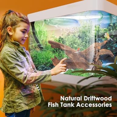 Jorewood Natural Small Aquarium Driftwood for Fish Tanks & Reptile Terrariums – 100% Safe Fish Tank Decorations, Unique Twisted Branches 5-Piece 4-8 Inch Low Tannin, Easy to Sink - Image 5