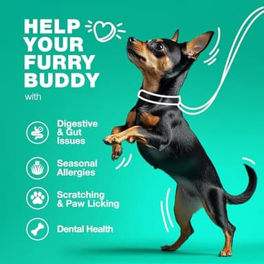 Probiotics for Dogs Gut Health, Digestion, Immunity, Yeast Balance, Itchy Skin, Allergies Support - Dog Probiotic Chews with Digestive Enzymes for Gut Flora- Soft Treats with Pumpkin and Yeast Powder - Image 4