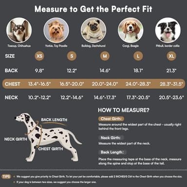 Queenmore Dog Winter Coat Warm Puffer Jacket Waterproof Plush Lining Thermal Cold Weather Vest for Small Medium Large Dogs, Windproof Easy On Pet Jacket Blue S - Image 4