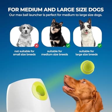 ALL FOR PAWS Automatic Dog Ball Launcher for Medium to Large Dogs, Interactive Tennis Ball Thrower, Rechargeable Dog Toy Mental Stimulation Training Game for Energetic Dogs - Image 5
