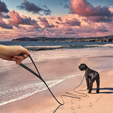 Wolfone 40ft Black Long Leash - Waterproof Training Dog Leash for Recall, Swimming, Camping, Beach, Hunting, Walking - Image 3