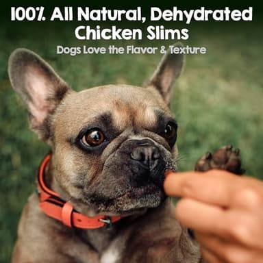 Riley's Chicken Sticks for Dogs - Natural USA Sourced Single Ingredient Dehydrated Real Meat Chicken Slims Jerky Treats, Made in The USA - 6 oz - Image 4