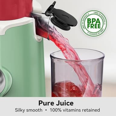 Cold Press Juicer, LINKChef Slow Masticating Juicer Machines with No-Prep 4.35" Large Feed Chute & Upgraded Auger for Whole Vegetables and Fruits, 42oz Capacity, Easy to Clean, Light Green - Image 6