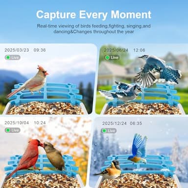 Smart Bird Feeder with Camera, Solar Powered, AI Recognition, Auto-Capture & Instant Notify, Identify 11,000+ Birds, 2K HD Footage, for Bird Enthusiasts, Outdoor Garden. - Image 5