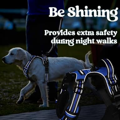 rabbitgoo Dog Harness Medium Sized, No Pull Pet Harness with 3 Buckles, Adjustable Soft Padded Vest with Control Handle, Walking Reflective Pet Vest for Medium Dogs, Blue, M - Image 9