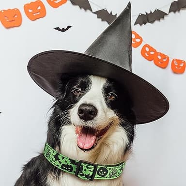 TDTOK Halloween Dog Collar, Soft Comfy Halloween Themed Pet Collar with Spooky Ghost Skull Bat Cat Witch Tree Hat Pumpkin Pattern for Small Medium Large Dogs (1 PCS) - Image 3