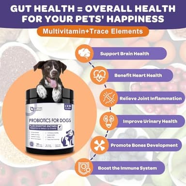 NATURE TARGET Probiotics for Dogs, 6 Billion CFUs, Freeze Dried Dog Probiotics with Prebiotics & Enzymes for Diarrhea, Gas, Vitamins & Omega 3 for Skin & Immune Health, Allergy Itch Relief, 180 Count - Image 6