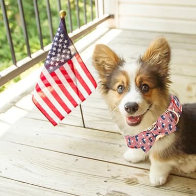 Bobo Rainbow Independence Day Dog Collar, Patriotic Pet Collar American Flag Collar Holiday Pet Collars Girl or Boy Adjustable Collar for Small Medium Large Dogs - Image 6