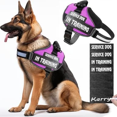 Bcadem Service Dog Vest,8 Dog Patches No-Pull Service Dog Harness with Handle,Personalized Reflective Dog Vests with 1 Pen Custom Name,Phone Number,Pattern,Easy Control for Small Medium Large Pets - Image 1