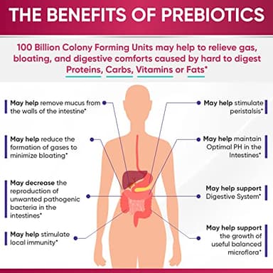 Wholesome Wellness Dr. Formulated Raw Probiotics for Women 100 Billion CFUs Capsules with Prebiotics, Digestive Enzymes, Approved for Adults, Shelf Stable Supplement - Image 4