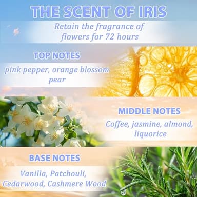 Tgideas Hair Oil Spray - Leave-in Hair Conditioning Oil with Jojoba Oil and Shea Butter -Clear Hair Oil Spray - For Dry Hair, Curly Hair, Detangling, Styling and Moisturizing- for Women & Men - Image 2