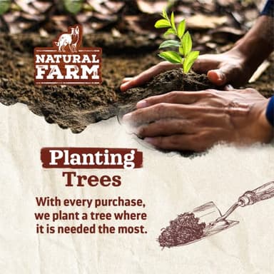 Natural Farm Odor-Free Bully Sticks (12”, 8oz) All-Natural Long-Lasting Chews, 100% Beef Pizzle, Grass-Fed, Grain-Free, Hormone-Free, Protein for Muscle Development & Energy, Perfect for Large Dogs - Image 8