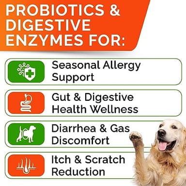 STRELLALAB Dog Probiotics Chews for Digestive Health & Gut Support with Yeast and Enzymes - Anti Gas, Diarrhea and Upset Stomach Immune Supplement - Digestion Treats with Fiber (120Ct, Chicken) - Image 2