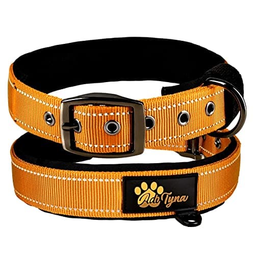 ADITYNA Dog Collars for XSmall Dogs - Padded Ultra Comfortable Soft Neoprene, Reflective, Heavy Duty - Orange Extra-Small Collar - Image 1
