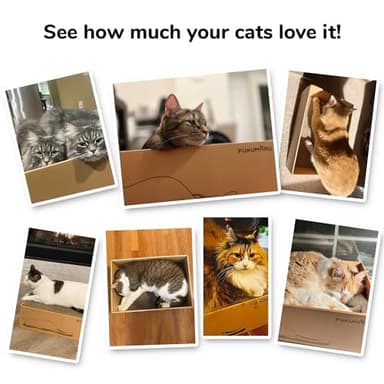 FUKUMARU 5 PCS Cat Scratching Boards, 11.4 Inch Width Ex-Large Cat Scratcher Box, Reversible Cardboard Scratchers for Indoor Cats, Cat Scratch Box for Large, Medium and Small Cats, Protect Furniture - Image 5