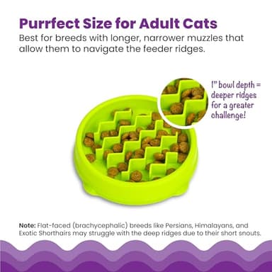 Catstages Kitty Slow Feeder Cat Bowl for Wet or Dry Cat Food, Helps Prevent Bloat & Improve Digestion, Non-Slip, BPA-Free, Small, Green - Image 5